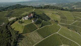 Ageing champagne at home, bottle by bottle