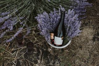 Ageing champagne at home, bottle by bottle