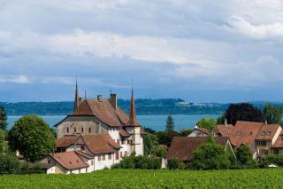 Why grower champagne tastes of one village, not a brand