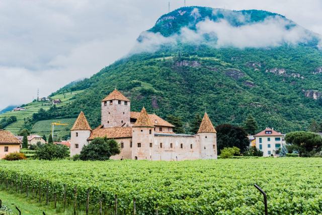 Why a late disgorged champagne tastes both older and fresher Why a late disgorged champagne tastes both older and fresher